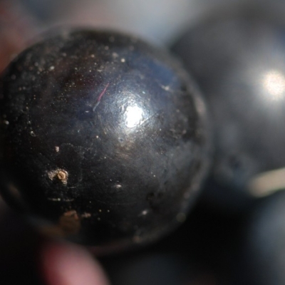 Cabernet Mitos ANT 1018